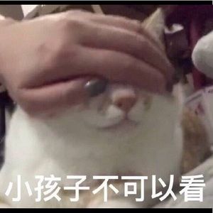 Meet your Posher, Gloria